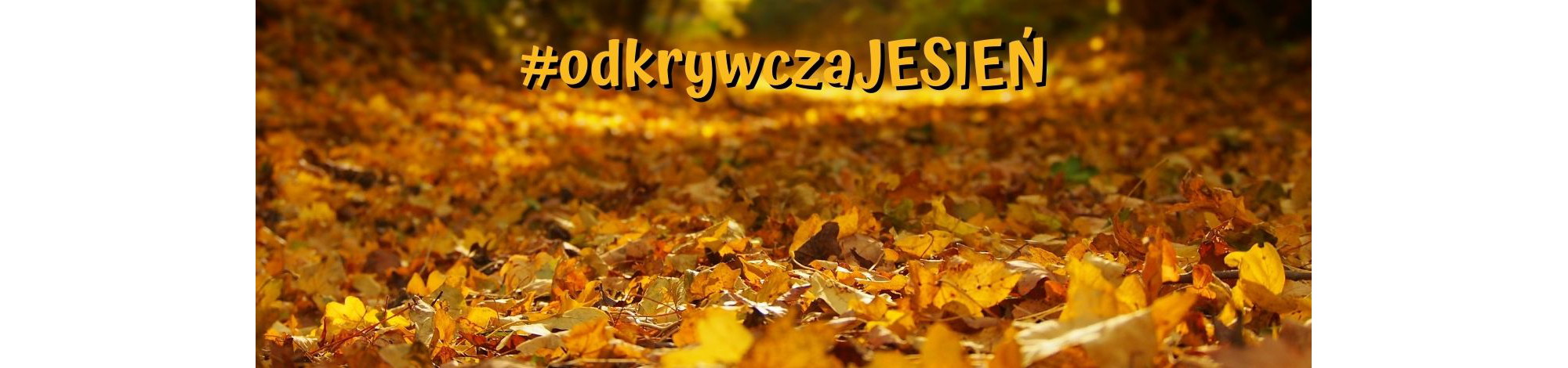 Grafika przedstawia jesienną ścieżkę zasypaną złotymi liśćmi, a na środku widoczny jest napis #odkrywczaJESIEŃ.